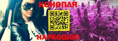 дживик Славгород